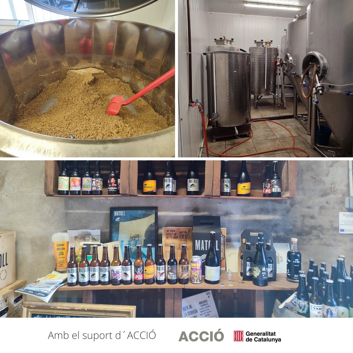 Sonicat Systems tweet media