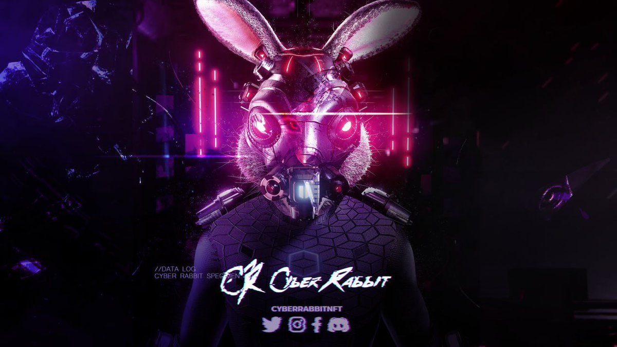 Cyber Rabbit | MINT LIVE tweet media