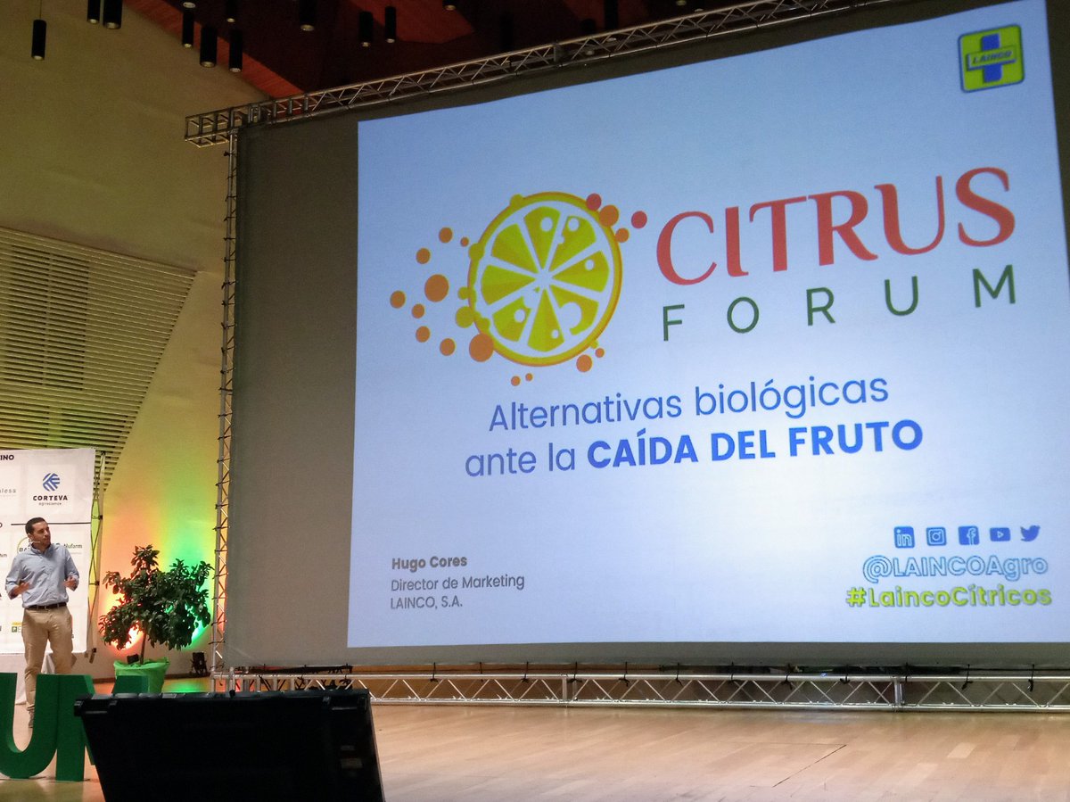 CitrusForum's tweet photo. 'Abscisión de fruto depende de gradiente etileno/auxinas' 🍋
#ANTIOX: estudio del perfil fisiológico, hormonal y nutricional
#LanguantPrime: efecto similar a auxinas sintéticas y apto para #ecológico
Esto y más nos cuenta Hugo Cores de @LaincoAgro
#CitrusForum #LaincoCítricos https://t.co/FxL02x1aa4