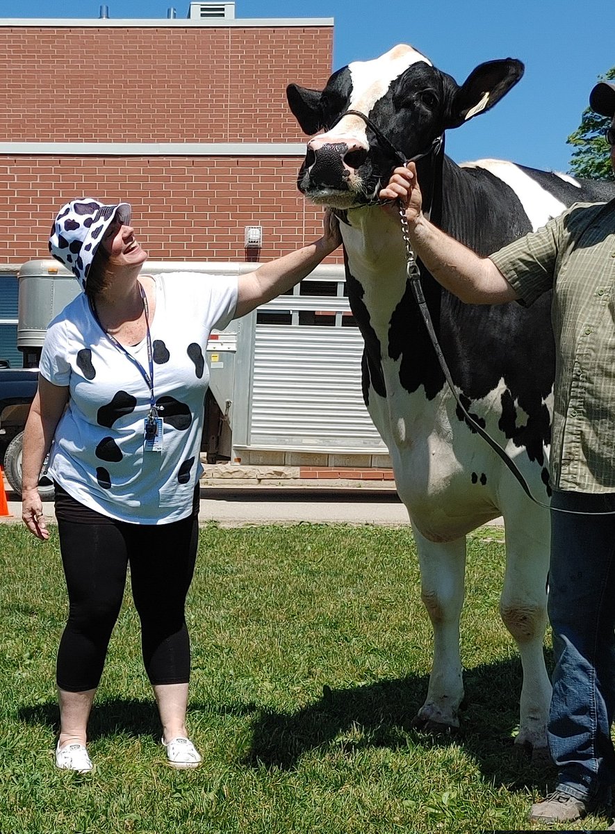 SandraCaptein's tweet photo. As an incentive to raise $5000 for the Heart and Stroke Foundation, our principal and vice-principal agreed to kiss a cow! Staff were willing to have a bucket of water poured on them or a pie in the face! We surpassed our goal! @JulieRuberto @MclayJulie https://t.co/bBwSF5ACTL