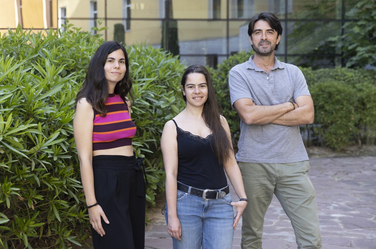 CNIO Stop Cancer (@cniostopcancer) on Twitter photo 📢 #CNIOStopCaner researchers, led by Ivan Plaza, identify cryptic vulnerabilities in an oncoprotein that could be used in the development of novel anti-cancer drugs 🗞️ <a href="/jarcuhala/">Journal of Advanced Research (JAR)</a> 🔝
👉 cnio.es/cancer/wau6 📢 #CNIOStopCaner researchers, led by Ivan Plaza, identify cryptic vulnerabilities in an oncoprotein that could be used in the development of novel anti-cancer drugs 🗞️ <a href="/jarcuhala/">Journal of Advanced Research (JAR)</a> 🔝
👉 cnio.es/cancer/wau6