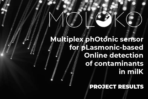 moloko_project photo