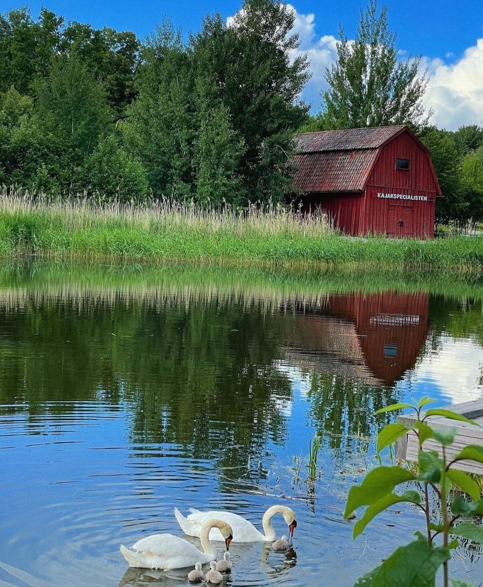 lovesgeography's tweet photo. Lake Husarviken, Sweden. https://t.co/gLui47kayE