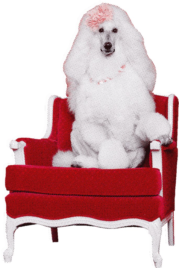 oheneba is now one of our followers and part of #TEAMTRAMP Thanks and welcome! x.com/oheneba112233 114 x.com/oheneba112233 ift.tt/0LSZt2j TO THE HAÜS