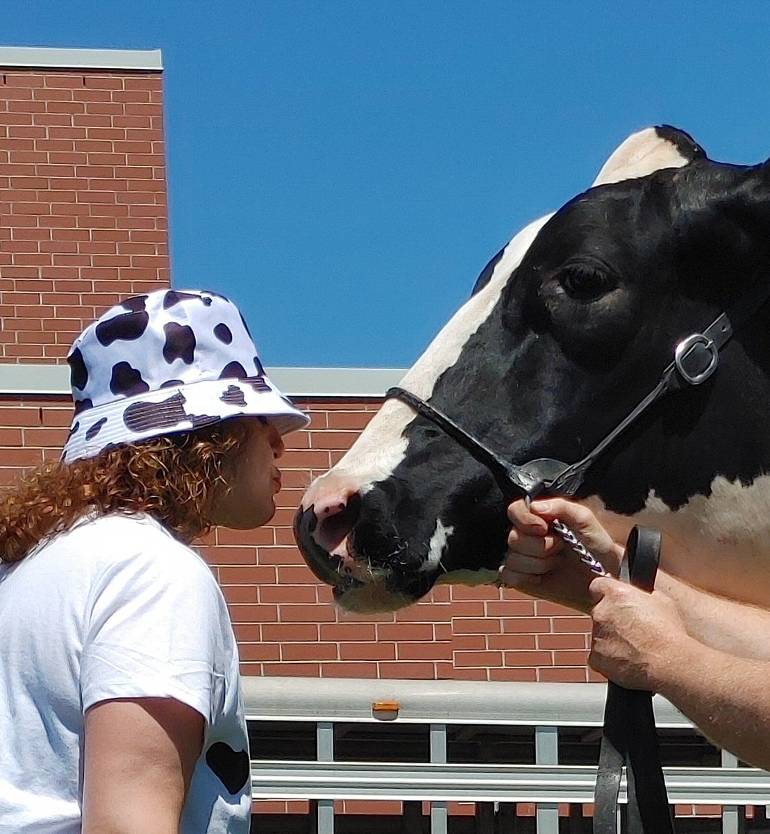 SandraCaptein's tweet photo. As an incentive to raise $5000 for the Heart and Stroke Foundation, our principal and vice-principal agreed to kiss a cow! Staff were willing to have a bucket of water poured on them or a pie in the face! We surpassed our goal! @JulieRuberto @MclayJulie https://t.co/bBwSF5ACTL