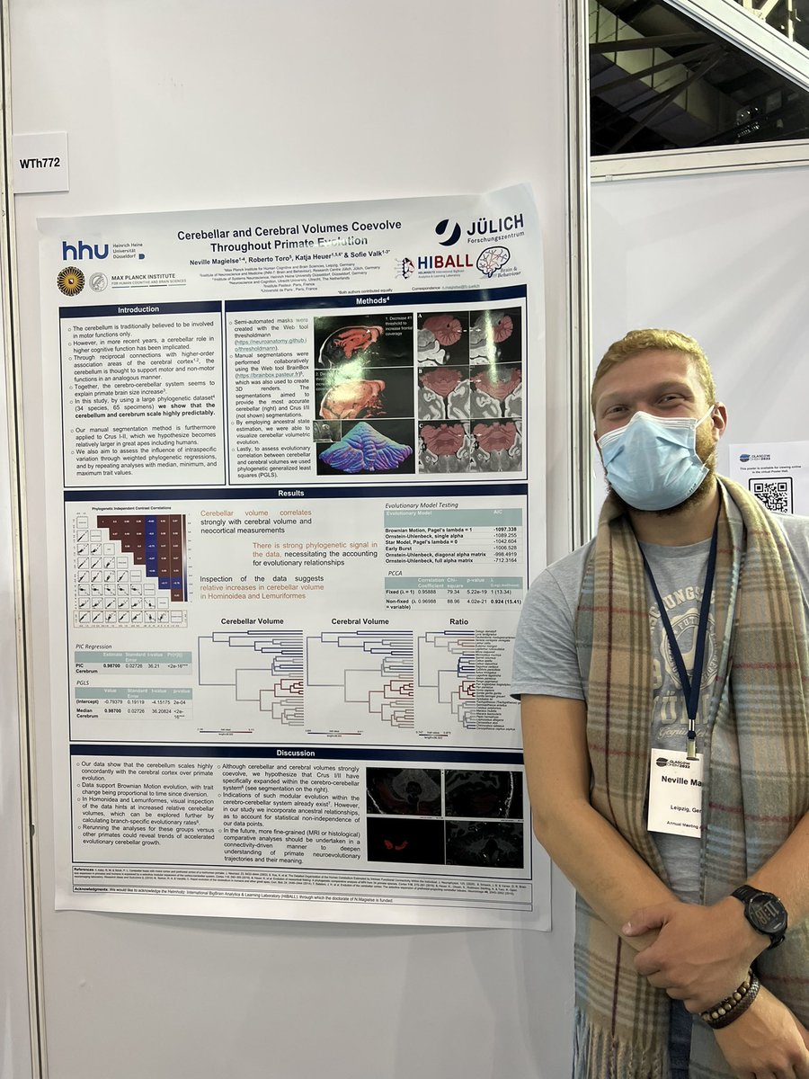 INM7_ISN's tweet photo. Little brain, little critters

If you are interested in the cerebellum, poster 772 is a must-see. Neville Margliese investigated cerebellum vs cerebrum (co-) evolution https://t.co/HJYQjpWFAc