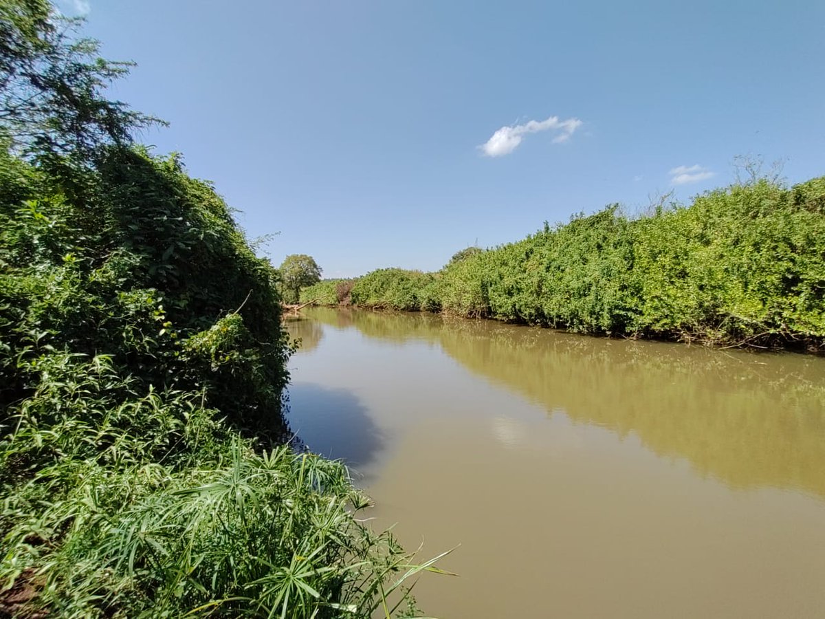 GreenSproutsKe's tweet photo. The biggest hurdle when setting up a farm under irrigation is WATER!!! 

Cost  is a major hinderance in 2 major ways:
- Digging a borehole requires a sizeable investment which is steep for a new farmer
- A serviced plot  is equally expensive because of the high costs of water/ltr https://t.co/EqpdsqG4Mr
