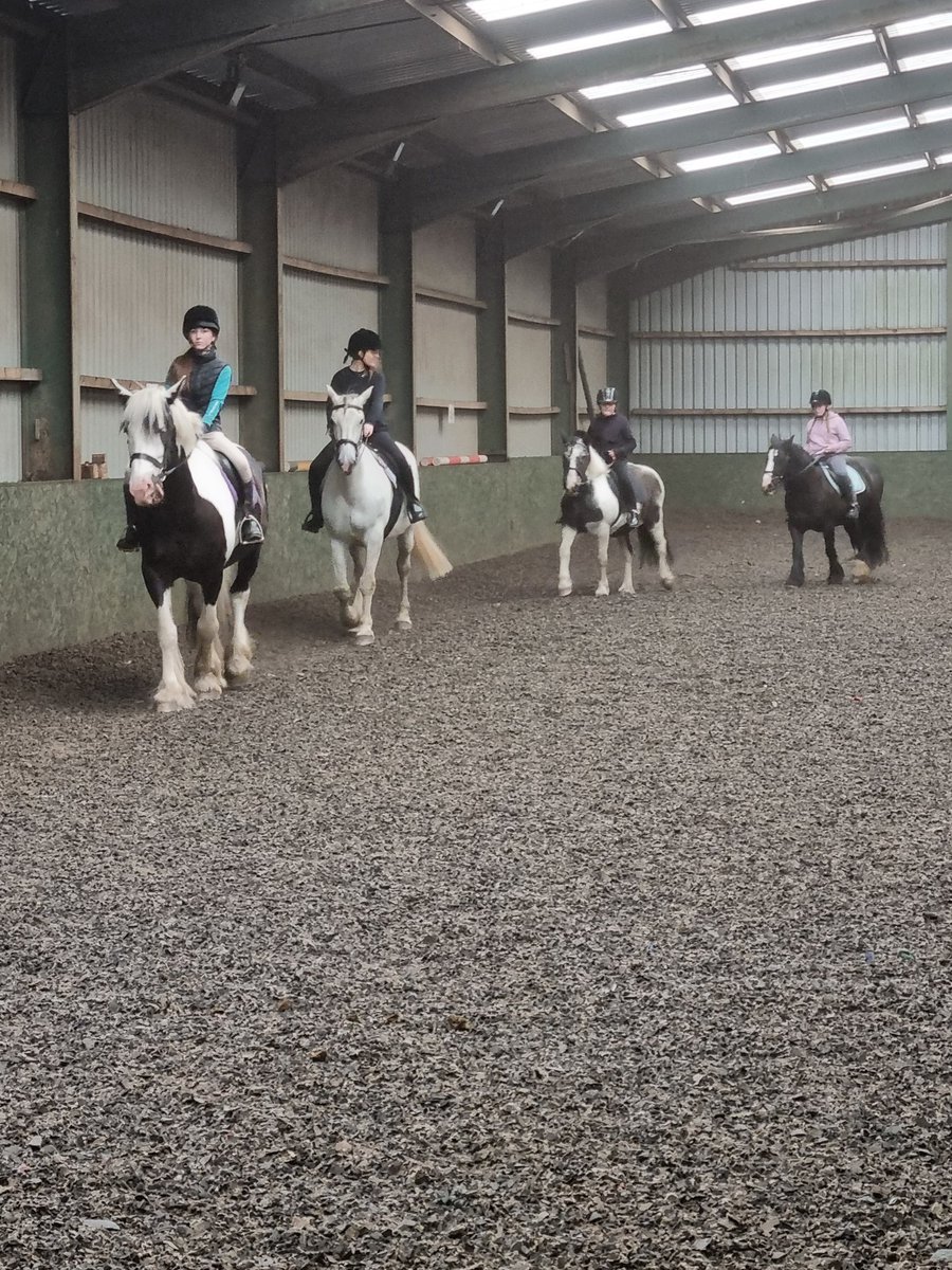 misssalvanou_he's tweet photo. Group 2 starting their lesson! This group ride more regularly so are looking forward to doing some walk trot and canter in their lesson 🐴🥰🐎 @FHS_Success @FalkirkHigh #FHSRewardsDay https://t.co/pv7j3JDUU3