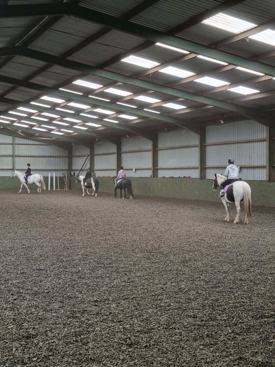 misssalvanou_he's tweet photo. Group 2 starting their lesson! This group ride more regularly so are looking forward to doing some walk trot and canter in their lesson 🐴🥰🐎 @FHS_Success @FalkirkHigh #FHSRewardsDay https://t.co/pv7j3JDUU3