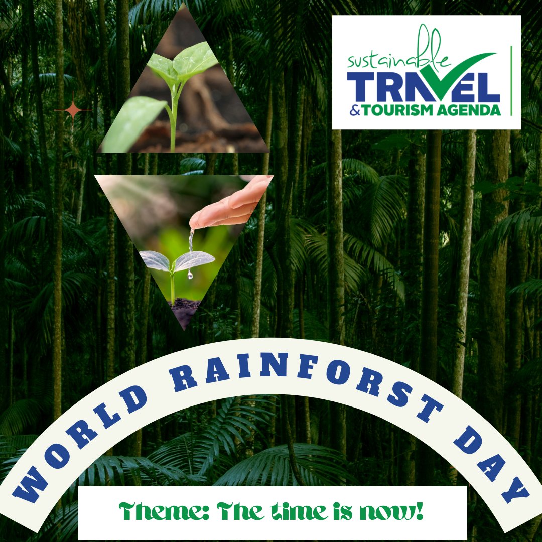 Sustainable Travel & Tourism Africa-Consulting (@sttakenya) on Twitter photo "World Rainforest Day" we join this collaborative effort to promote knowledge and inspire action in conservation of one of the earth's most valuable resources (our rainforests) <a href="/jodhiambo4/">Job Odhiambo</a> <a href="/GonaJudy/">Judy Kepher Gona #sttaconsulting</a> <a href="/STTAKenya/">Sustainable Travel & Tourism Africa-Consulting</a> <a href="/WorldRainforest/">World Rainforest Movement (WRM)</a> #kenyaforestservice #kenyawildlifeservice "World Rainforest Day" we join this collaborative effort to promote knowledge and inspire action in conservation of one of the earth's most valuable resources (our rainforests) <a href="/jodhiambo4/">Job Odhiambo</a> <a href="/GonaJudy/">Judy Kepher Gona #sttaconsulting</a> <a href="/STTAKenya/">Sustainable Travel & Tourism Africa-Consulting</a> <a href="/WorldRainforest/">World Rainforest Movement (WRM)</a> #kenyaforestservice #kenyawildlifeservice