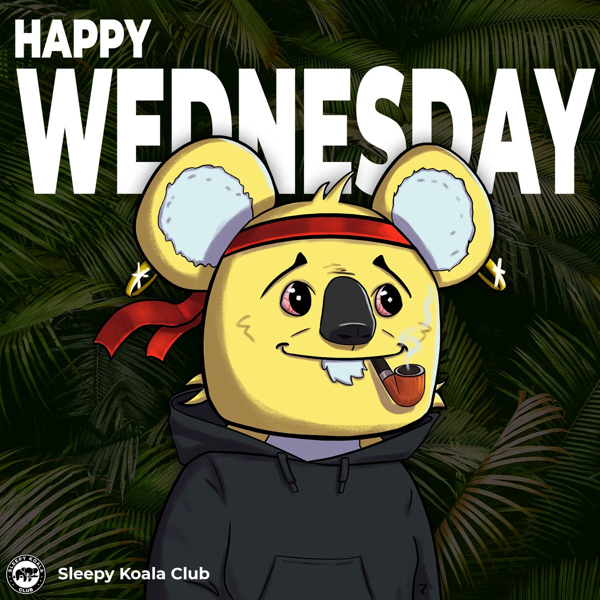 Sleepykoalaclub's tweet photo. Wishing everyone a beautiful day !!🐨 ❤️ 
- The Koala team https://t.co/U13pipMUBx