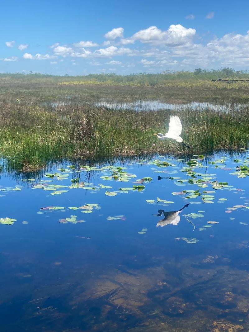 ExodusDanceCo's tweet photo. I’m a finalist in Flamingo Adventures’s Story Contest. Help me rally votes: https://t.co/TfRCPWE0Oj @FlamingoEvergld https://t.co/Eiawif5JsO