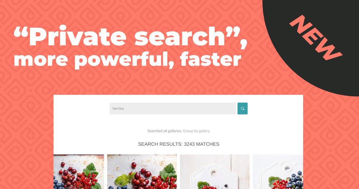 We’ve now completely revamped the search feature in private galleries on PhotoDeck website!
This will be a game-changer for all members that run a searchable protected archive. Read more on our blog: photodeck.com/blog/search-pr…