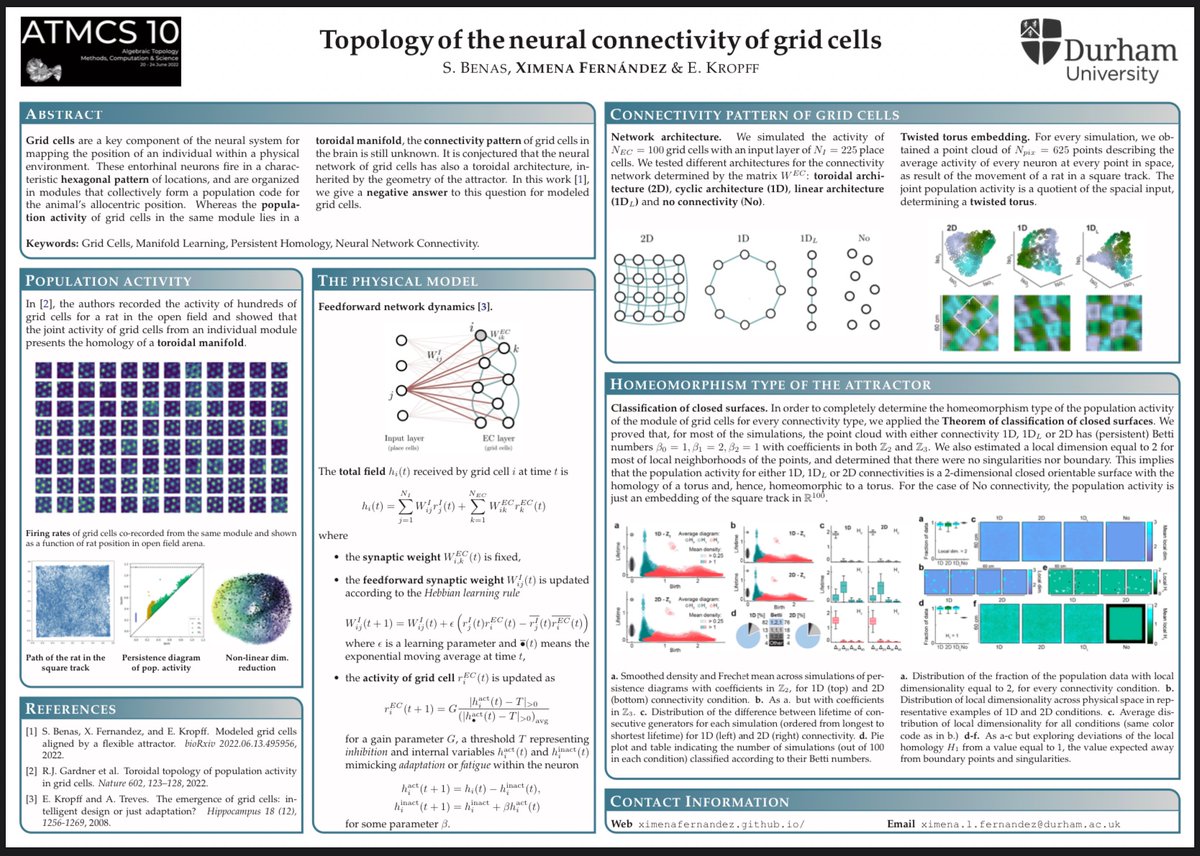 Happy with my (landscape😅)  poster.  
'Topology of the neural connectivity of grid cells'
<a href="/atmcs10/">ATMCS10</a>