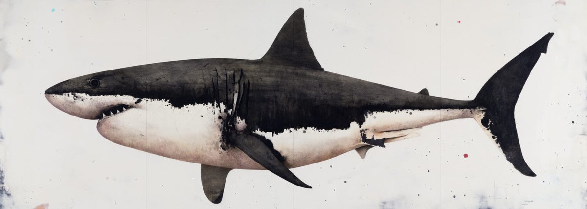 pigmentgallery's tweet photo. White Shark, 2020
David Morago https://t.co/ceMJxYurkM