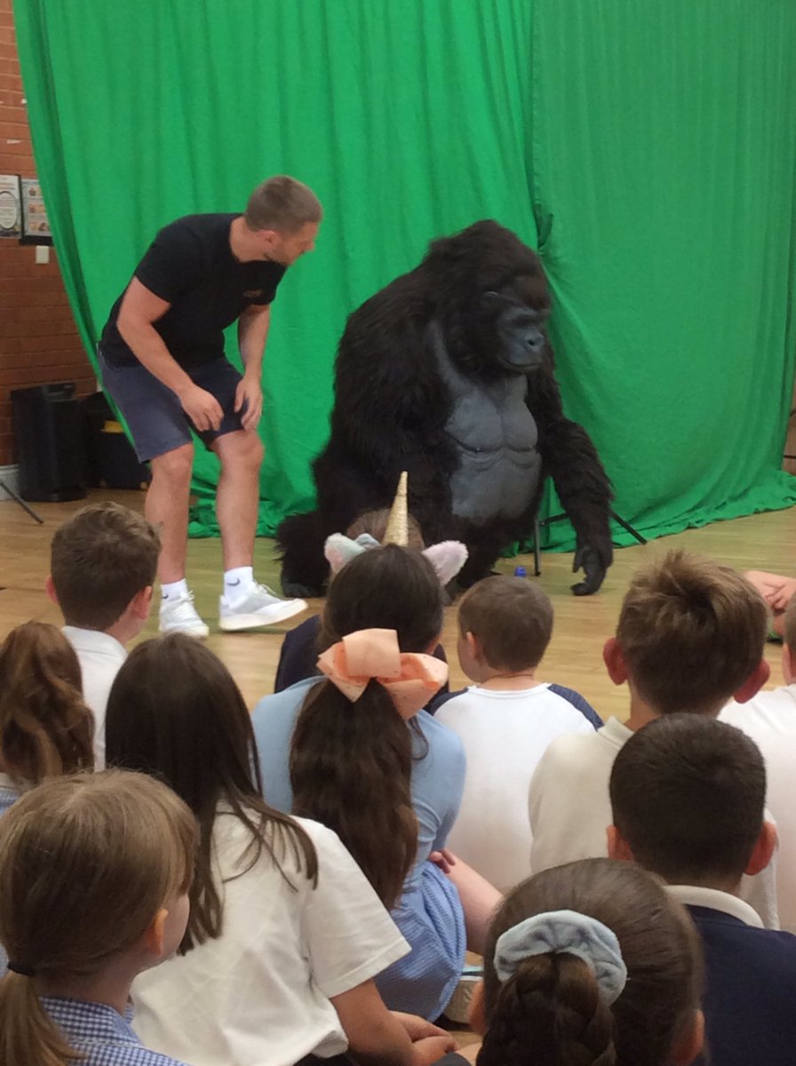 dwalliamsclass's tweet photo. We have been inspired to learn more and think about how we can help mountain gorillas after our visit from Thomas. https://t.co/7zJifAGXOr