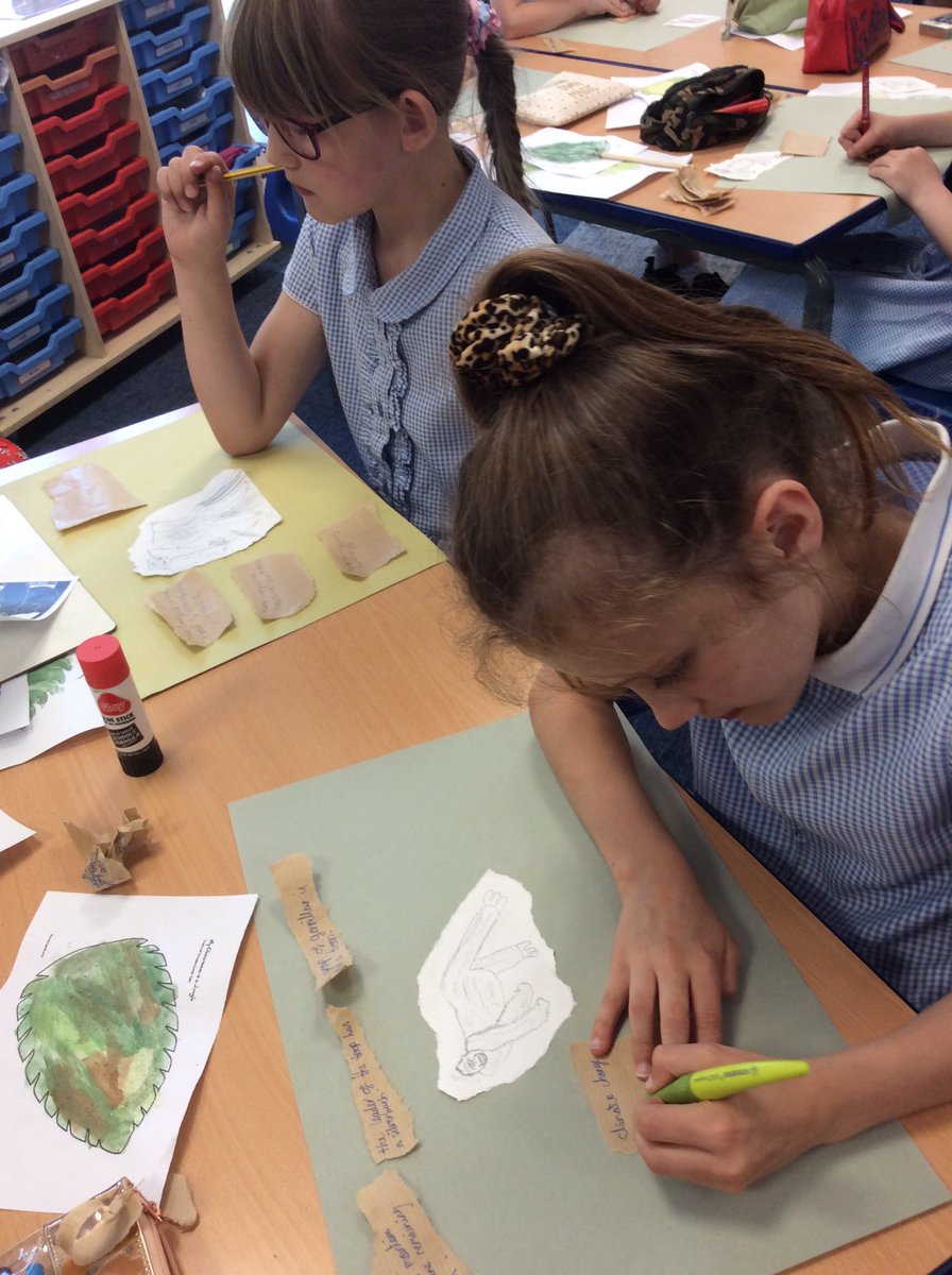 dwalliamsclass's tweet photo. We have been inspired to learn more and think about how we can help mountain gorillas after our visit from Thomas. https://t.co/7zJifAGXOr