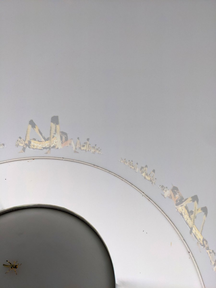 loopbio quantitative biology (@loopbiogmbh) on Twitter photo Was great to visit <a href="/CBehav/">Centre for the Adv Study of Collective Behaviour</a> and <a href="/_Sercan_Sayin/">Sercan Sayin</a> at <a href="/UniKonstanz/">Universität Konstanz</a> to service the unique and impressive LocustVR loopbio.com/cs/locustvr/ Was great to visit <a href="/CBehav/">Centre for the Adv Study of Collective Behaviour</a> and <a href="/_Sercan_Sayin/">Sercan Sayin</a> at <a href="/UniKonstanz/">Universität Konstanz</a> to service the unique and impressive LocustVR loopbio.com/cs/locustvr/