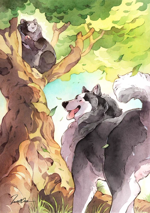 汪🐻 