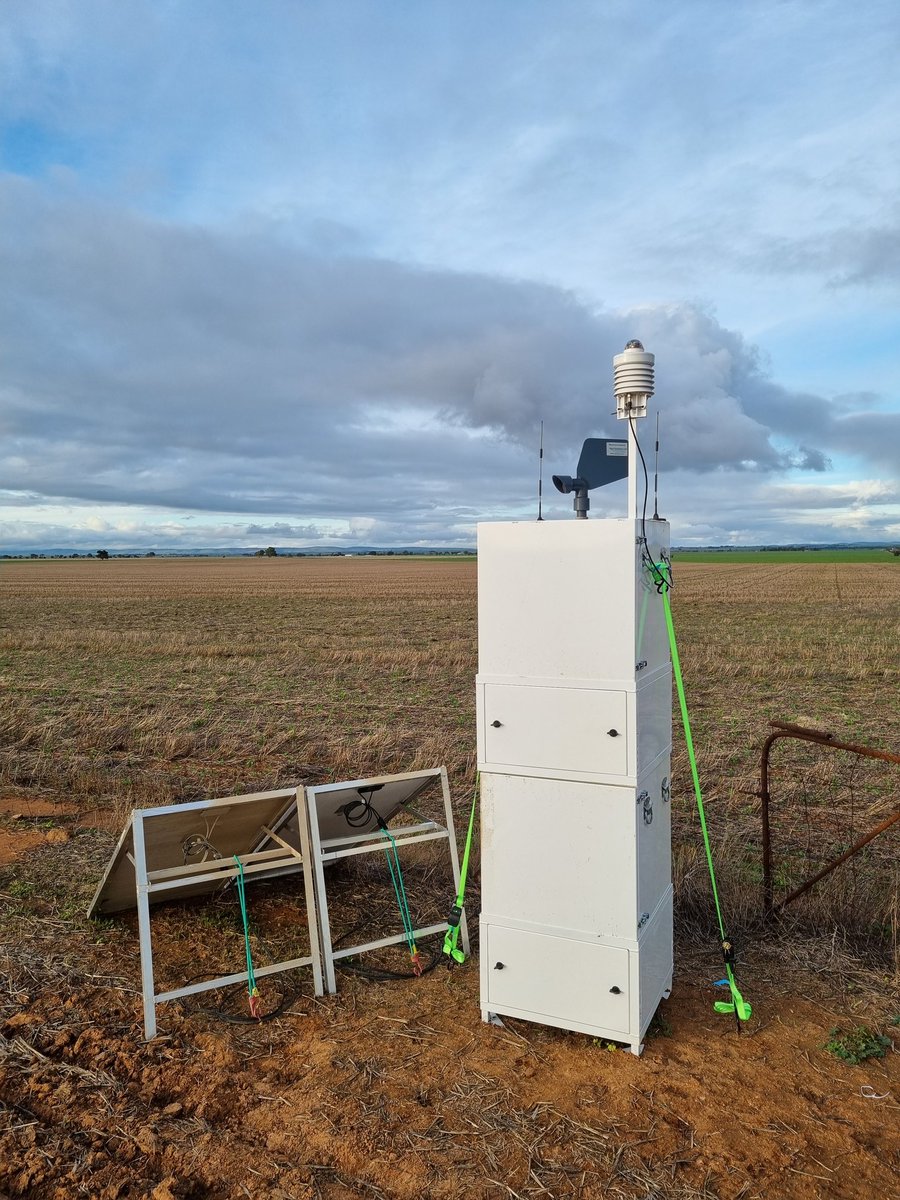 Rohan Kimber tweet media