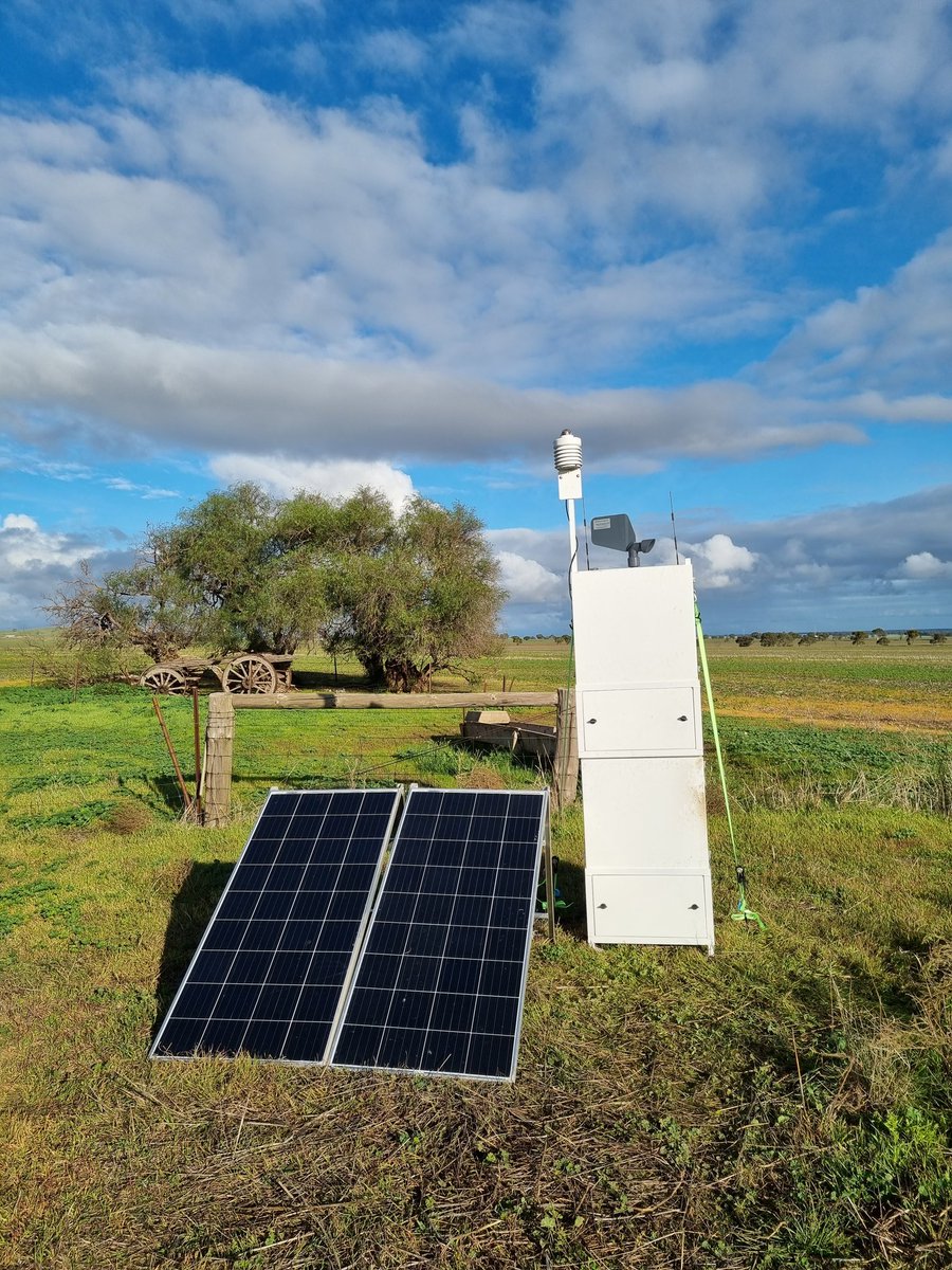 Rohan Kimber tweet media