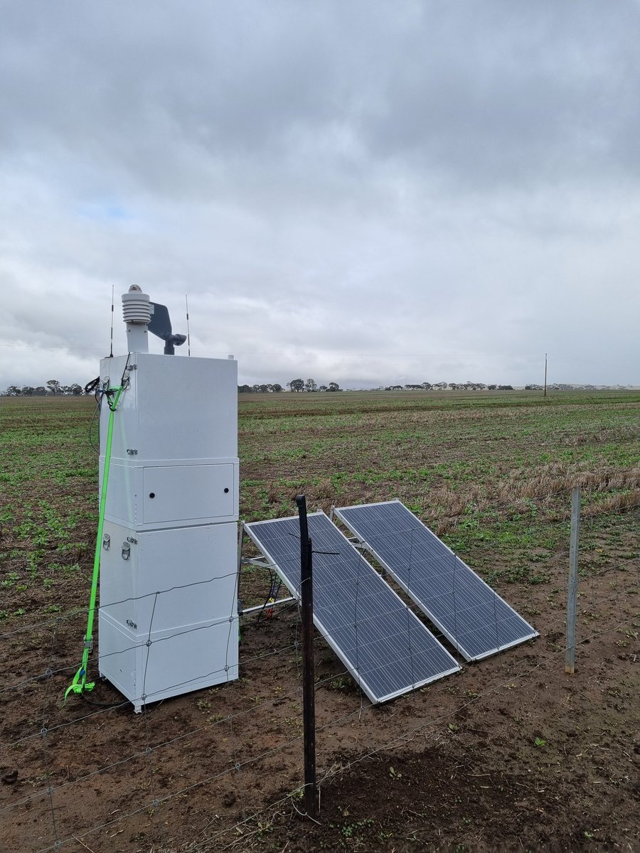 Rohan Kimber tweet media