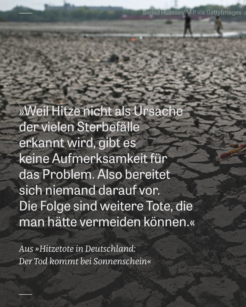 DIE ZEIT tweet media