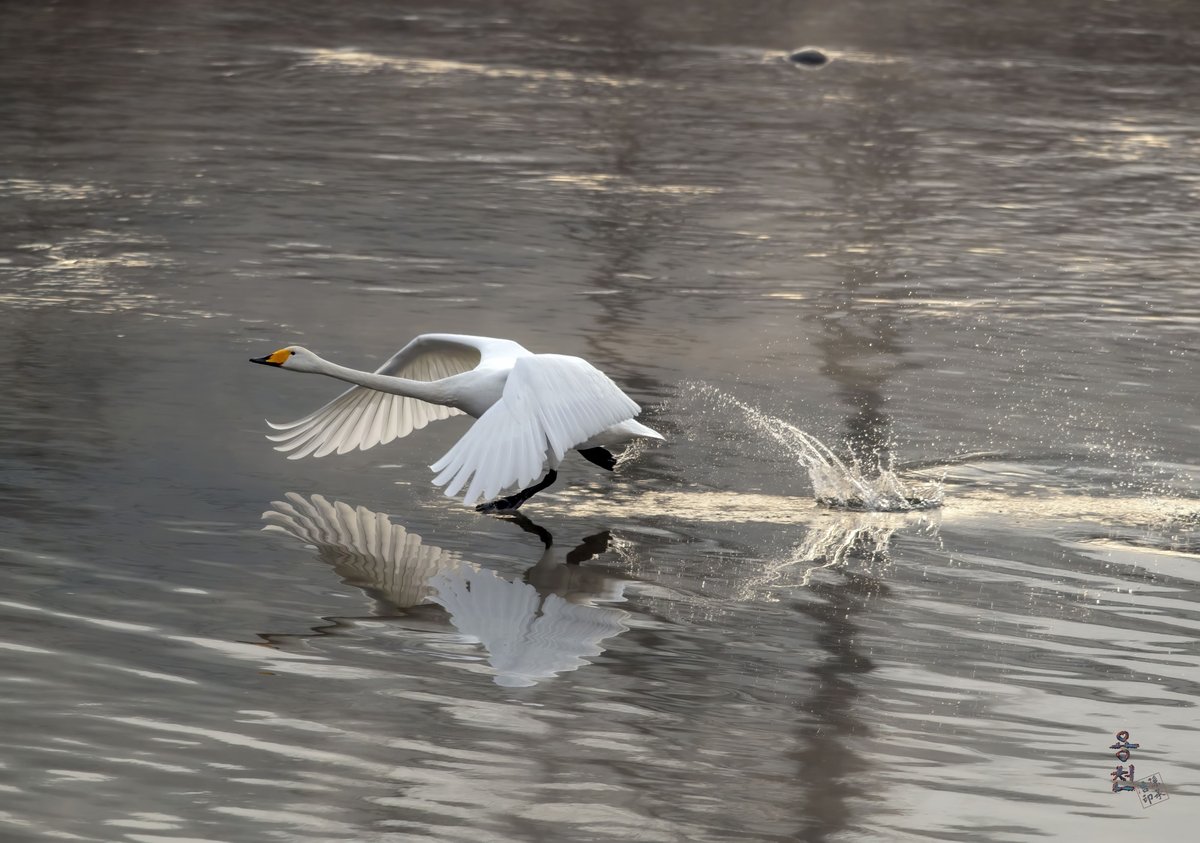 NFT No.1 사진작가 용천 tweet media