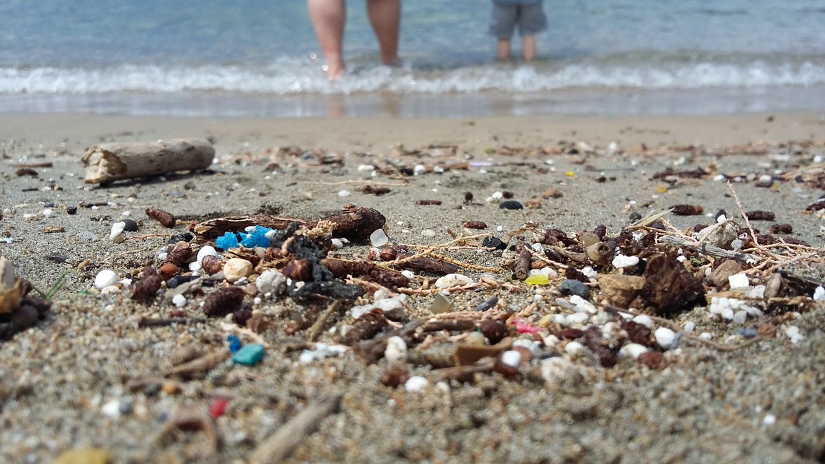 JoJesionkowska's tweet photo. I just came back from #microplasticsworkshop
@MicroplasticsW. Thank you organisers, experts and all the students for sharing your knowledge with me. In a week I learnt more that in months of reading papers. I hope to see you soon :) https://t.co/F5mlJ2d2iA