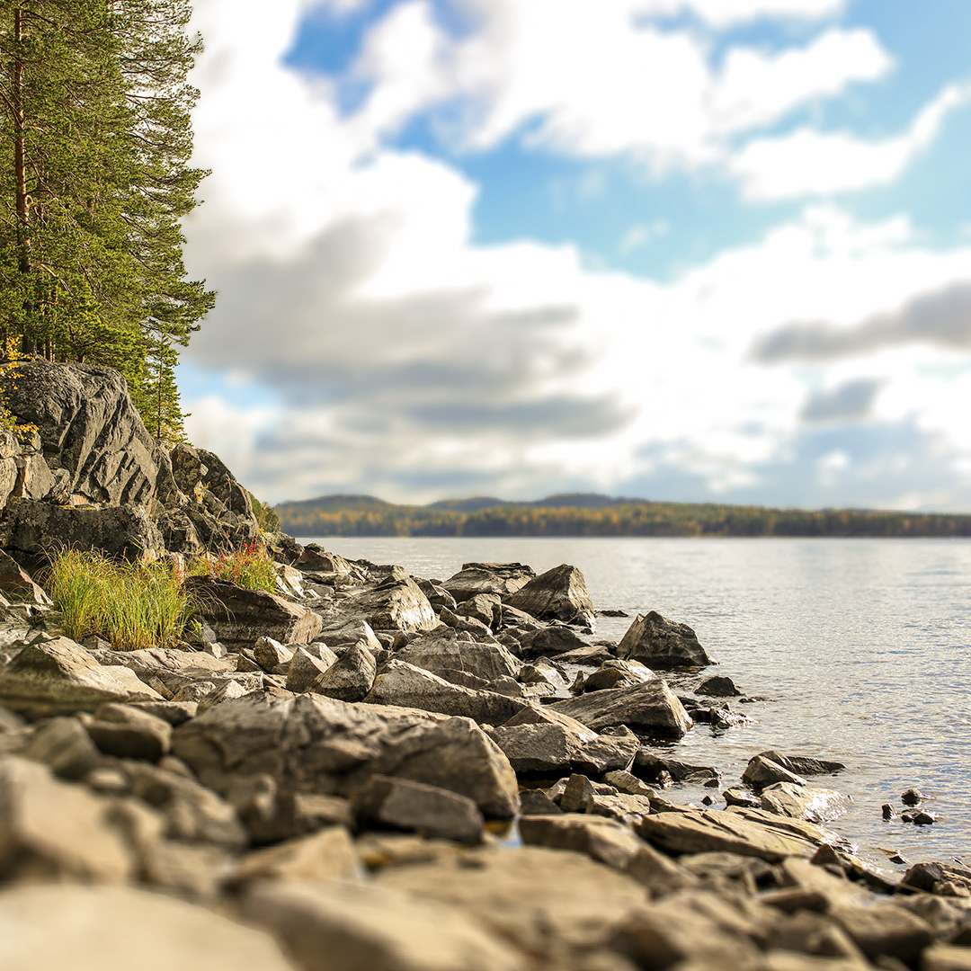 digiteam_oy's tweet photo. Digiteam lähtee juhannuksen viettoon ja lomille. ☀ Kiireisissä asioissa meidät kyllä saa kiinni eikä ongelmien kanssa tarvitse jäädä yksin. 🤝 Mahtavaa juhannusta ja kesää kaikille asiakkaille, yhteistyökumppaneille ja seuraajille! 😎 #digiteamoy #juhannus #kesäloma https://t.co/1skDtttz6o