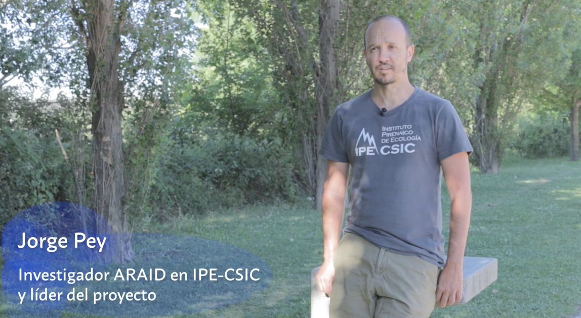 ARAID_ES's tweet photo. Ya está el vídeo de la 1⃣ª edición de "Necesito un cambio de aires!" proyecto q lidera Jorge Pey, ARAID en @IPE_CSIC, q busca fortalecer la enseñanza de ciencias entre jóvenes centrándose en 1 problema global tan acuciante: la contaminación atmosférica👏
➡️https://t.co/QObJOQWS20 https://t.co/cImYte1sXM