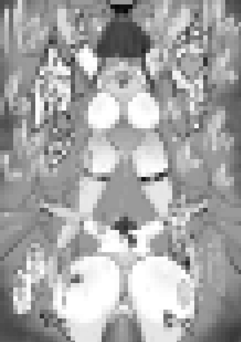 続きもあります↓
https://t.co/3E8CWFZdxT 