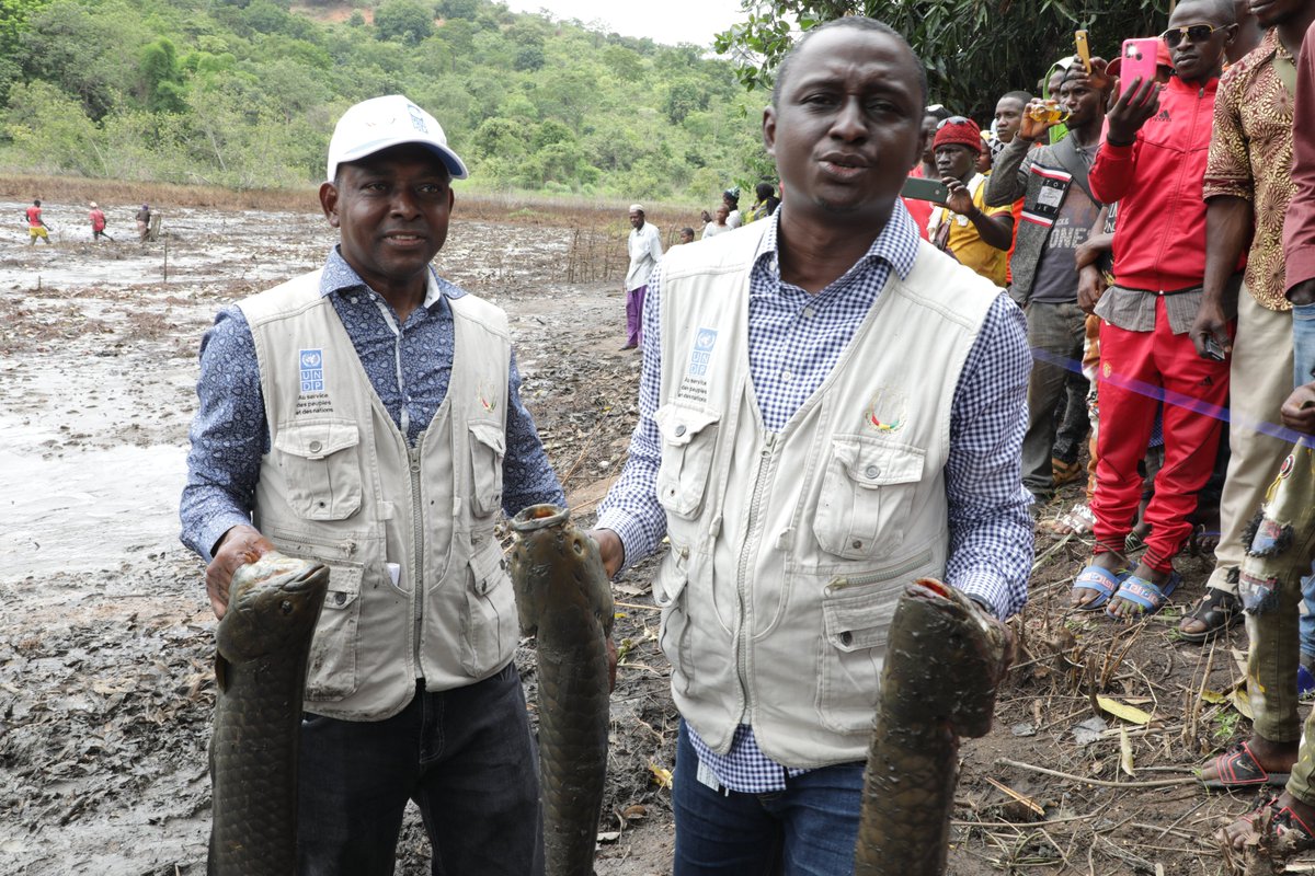 peged_pnud's tweet photo. #PISCICULTURE_MAMOU

À WANGAKO, UNE MARE COLONIALE RESTAURÉE PAR LE PNUD ET LA RUSSIE AMÉLIORE LA SÉCURITÉ ALIMENTAIRE DES COMMUNAUTÉS ET ACCROIT LES REVENUS DES FEMMES

Lire plus 👉 https://t.co/lmvAl191Tu
@GouvGN 
@PNUDGuinee https://t.co/3nN2i7ObOi