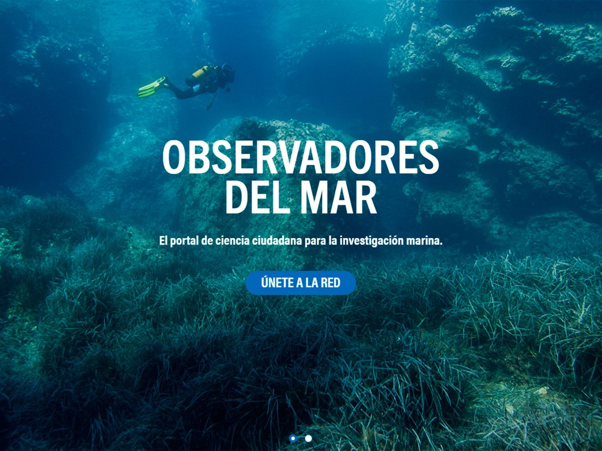 ceabcsic's tweet photo. #CEABPress
@obsdelmar lanza un nuevo proyecto para hacer frente a la pesca fantasma, un problema ligado a actividades de pesca rudimentarias o no reguladas que amenaza la biodiversidad, la sostenibilidad de la pesca y la seguridad de la navegación.
Info👉https://t.co/TRFTFEN9dr https://t.co/Igg34ZsEq4