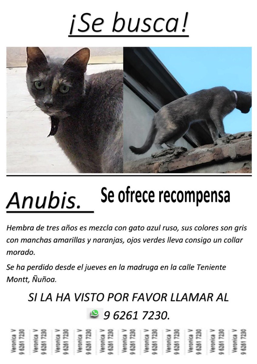 clubgaterogrupo's tweet photo. Caso externo ! https://t.co/hbgMlgB8Tg