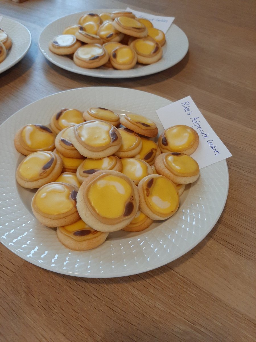 ATLAS_SDU's tweet image. Rike from #ADIPOSIGN is spoiling us with homemade adipocyte cookies at the joint annual meetings of ADIPOSIGN and @ATLAS_SDU 😋 yummy!