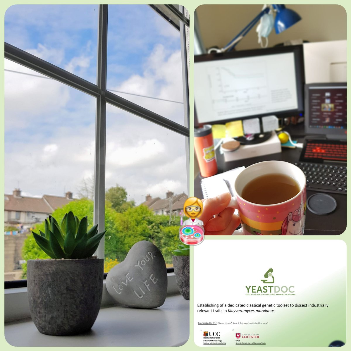 Franzi_H tweet media