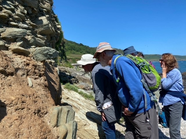 Buzz_dont_tweet's tweet photo. This #InsectWeek, @Buzz_dont_tweet Conservation Officer, @hayleyherridge, started things off on Monday with:
🐝pollinator ID training for #volunteers including @PoMScheme FIT count training & a
🔎field visit to #PrawlePoint, #Devon to look for Long-horned Bees!
#LifeOnTheEdge https://t.co/eWegPIULMf