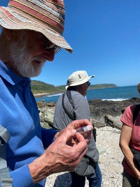 Buzz_dont_tweet's tweet photo. This #InsectWeek, @Buzz_dont_tweet Conservation Officer, @hayleyherridge, started things off on Monday with:
🐝pollinator ID training for #volunteers including @PoMScheme FIT count training & a
🔎field visit to #PrawlePoint, #Devon to look for Long-horned Bees!
#LifeOnTheEdge https://t.co/eWegPIULMf