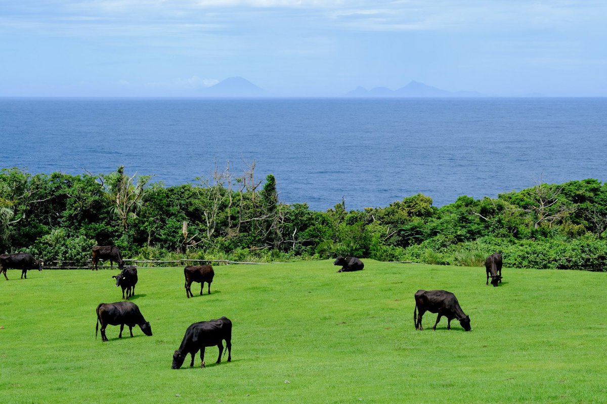 ホテルスタッフ研修
日本一を獲得した黒毛和牛見学

屋久島っぽくない風景です😄
遠く、トカラ列島が見えています

#サンカラホテル
#屋久島
#屋久島旅行
#屋久島観光
