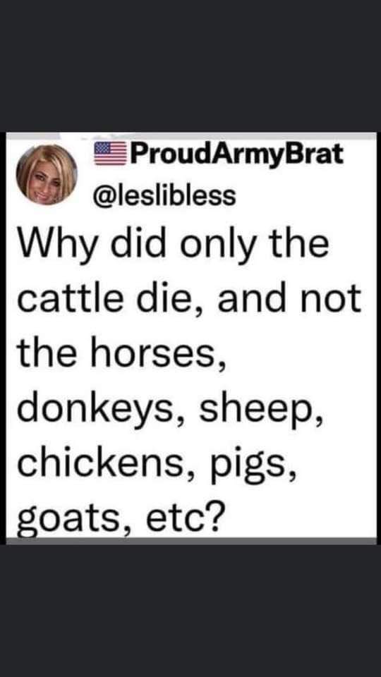 YES...why??