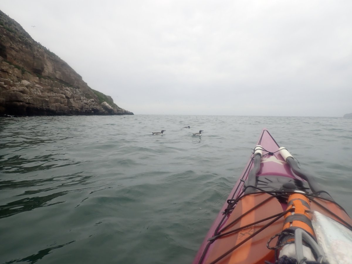 SeaMorKayaking's tweet photo. We had a good variety of conditions for our course this weekend... which enabled me to fulfil the request for weather, tides, rocks and birdlife! We witnessed and experienced first hand how wind and tides interact and their impact on the sea state. #seakayaking #learntokayak https://t.co/MxMPYGGv32