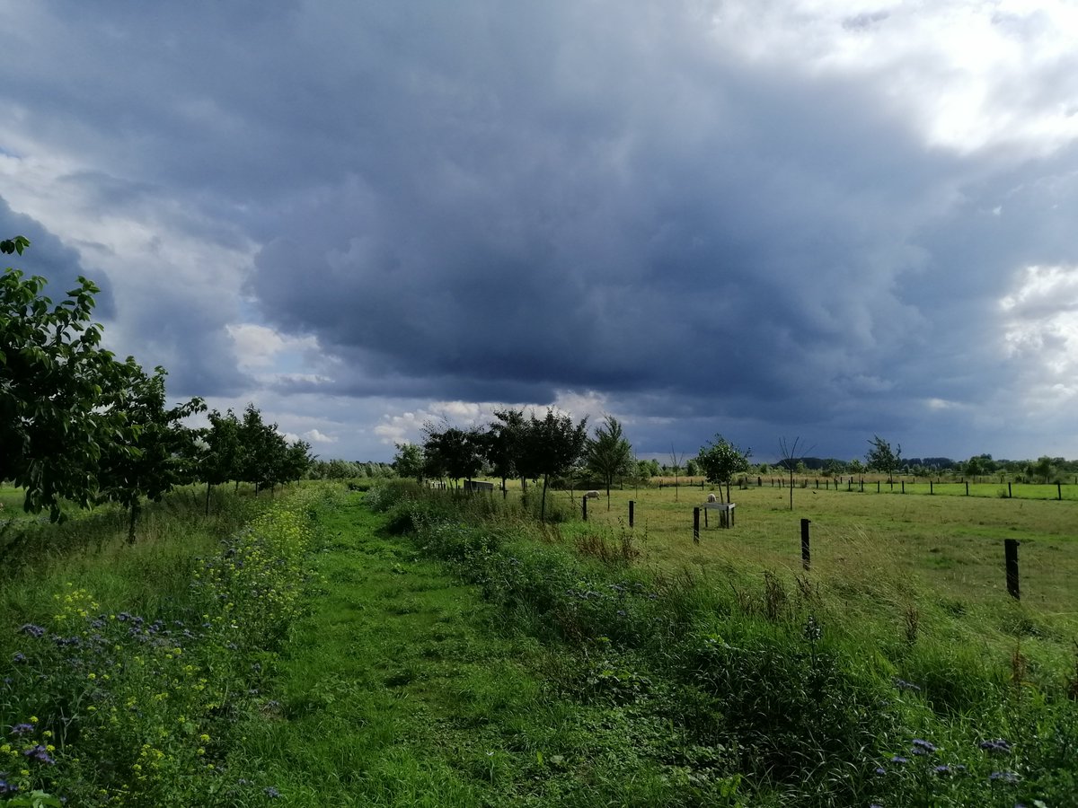 Het wordt tijd dat wij als NL #zelfvoorzienend worden via #biologisch en #permacultuur. Laat de #economie maar draaien op andere sectoren dan op #voedsel. Wij kunnen de kennis over #voedselproductie exporteren. NL #kenniseconomie