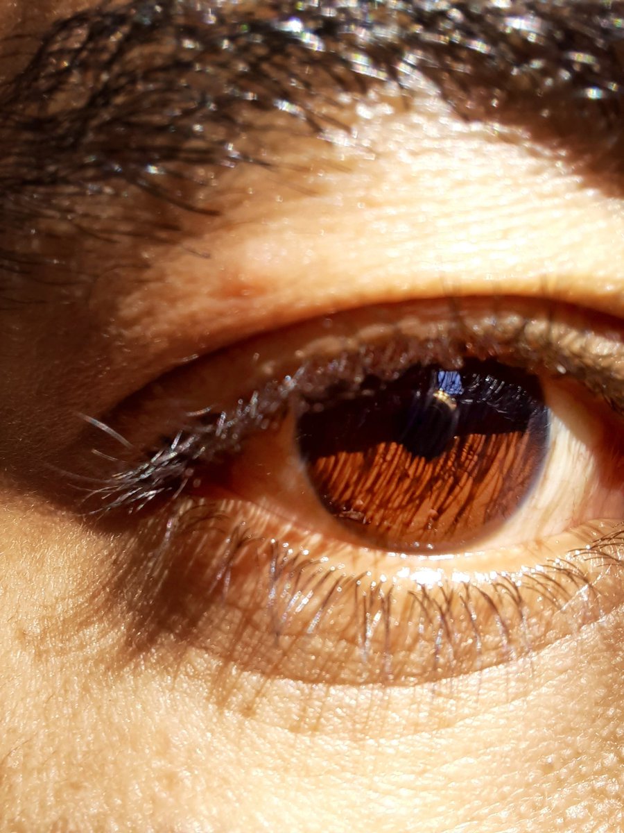 Change is  never easy but always possible:)

#eyelook #eye #browneyes 
#egypt🇪🇬 #egyptianguys 
#eyecolorchallenge 

Follow:
<a href="/MoFekry77721276/">Mostafa Mahmoud Fekry</a>