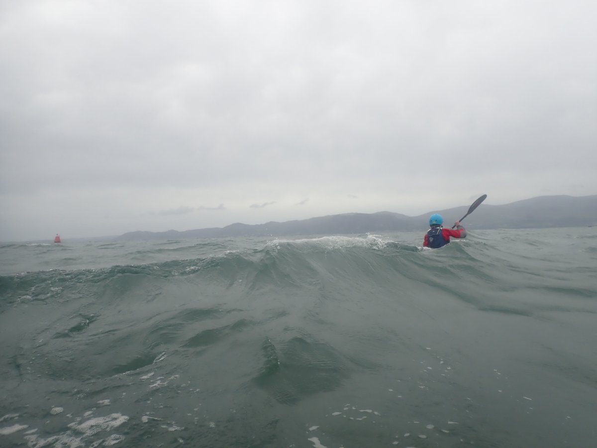 SeaMorKayaking's tweet photo. Gawsom amodau perffaith i allu dangos a phrofi sut mae'r gwynt a'r llanw yn effeithio ar y môr yn ystod ein cwrs hyfforddi penwythnos yma. Wedi llwyddo gweld llawer o adar môr hefyd - gan gynnwys y gwylogod a'r llurs yn y lluniau. #ceufadmôr #dysgu #caiacio #adarmôr #ynysmôn https://t.co/AcrSjvdMrQ