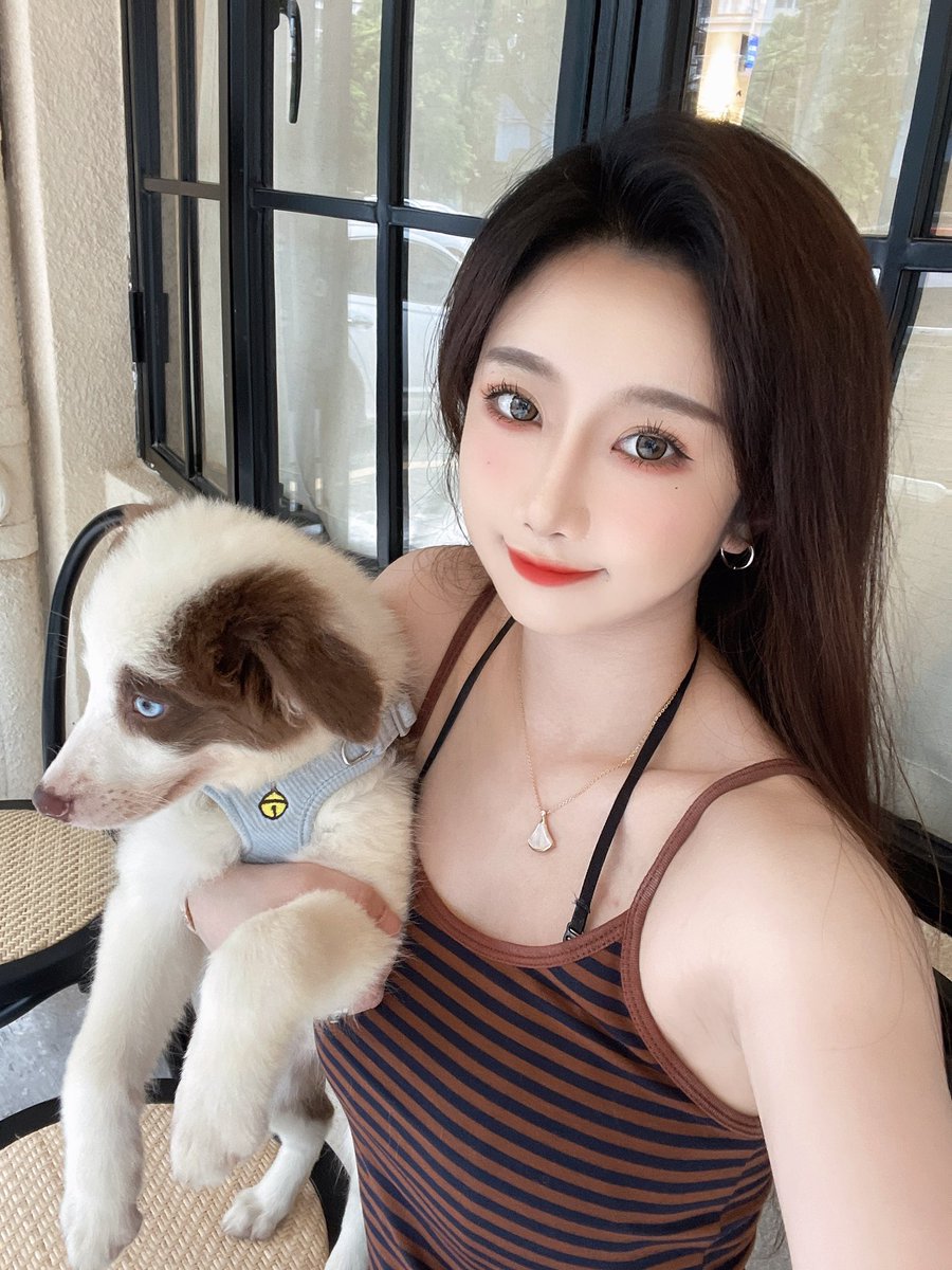 yaobb0712's tweet photo. 🐶 https://t.co/TJz69LDhEN