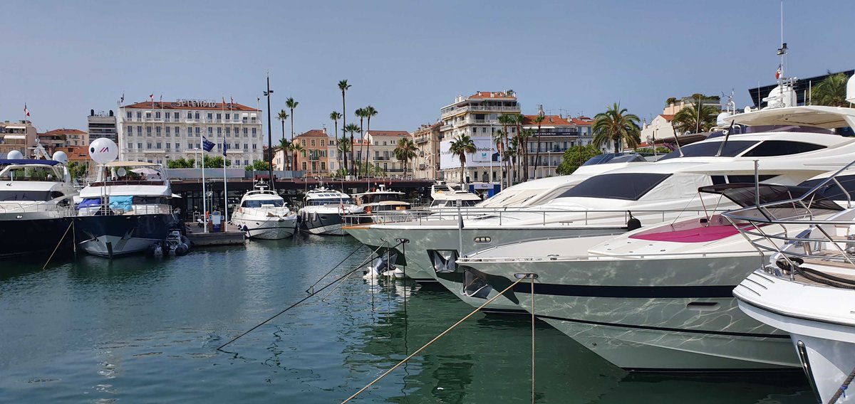 Pathmatics by Sensor Tower tweet media