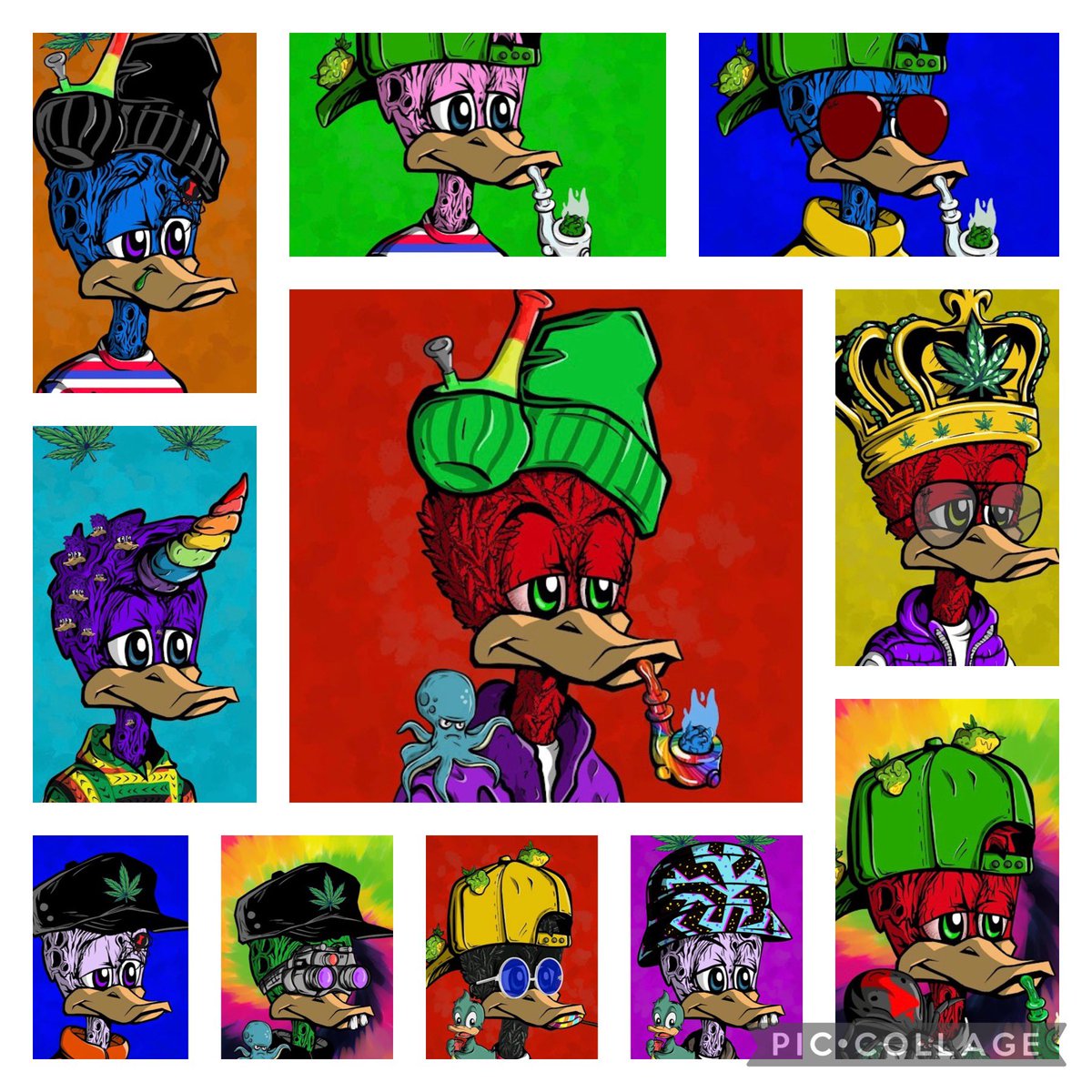 @lanceeeeeeees <a href="/SavageSam82/">Savage Sam</a> @SDLC420 <a href="/CrownSdlc/">sdlc crown gang</a> <a href="/Cyco_Cat/">SDLC - Cyclops Cat Club</a> <a href="/sdlc_medujelly/">SDLC_Medusa_Jellyfish_420</a> <a href="/LeafSkinDucks/">LeafSkin420</a> <a href="/RastaFlag420/">RastaFlag 420</a> Here’s some Stoned Ducks, Buy some, maybe?