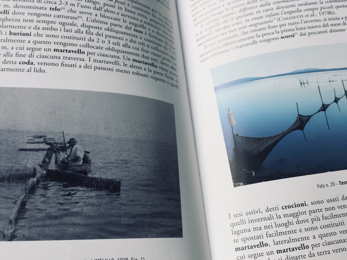 È uscito il II volume de "Le meraviglie della Costa d’Argento. Dizionario etnofaunistico dell’Argentario, dell’Isola del Giglio e di Orbetello" di Giuseppe Tosi.
La scheda: cpadver-effigi.com/blog/le-meravi…
#Effigi #Argentario #IsoladelGiglio #Orbetello #Mare