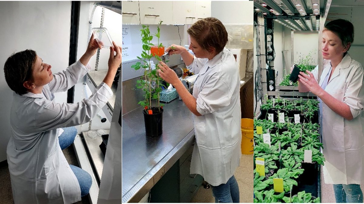 We continue our Q&amp;A series with Dr Franziska Fichtner. She shares some of her adventures as a German researcher in Oz, and discusses future plans for her soon to be launched junior group.

Read <a href="/HaimTreves/">Haim Treves</a>'s interview here 🌱➡️ bit.ly/3ydogWY

<a href="/FranziFichtner/">Franziska Fichtner</a> <a href="/SEBiology/">SEB @sebiology.bsky.social</a>